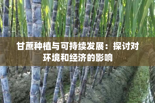 甘蔗种植与可持续发展:探讨对环境和经济的影响 甘蔗种植与可持续发展:探讨对环境和经济的影响