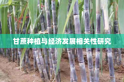 甘蔗种植与经济发展相关性研究 甘蔗种植与经济发展相关性研究