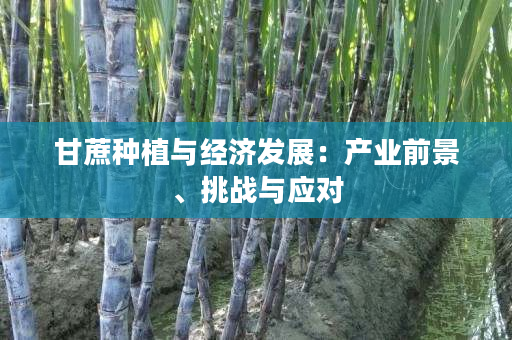 甘蔗种植与经济发展:产业前景、挑战与应对 甘蔗种植与经济发展:产业前景、挑战与应对
