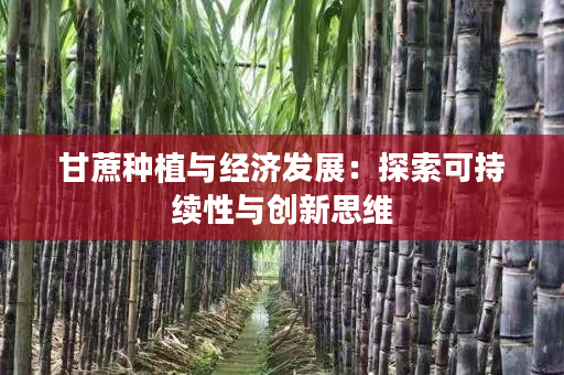 甘蔗种植与经济发展:探索可持续性与创新思维 甘蔗种植与经济发展:探索可持续性与创新思维