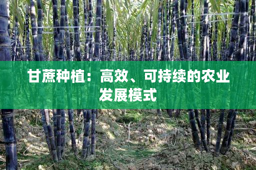 甘蔗种植:高效、可持续的农业发展模式 甘蔗种植:高效、可持续的农业发展模式