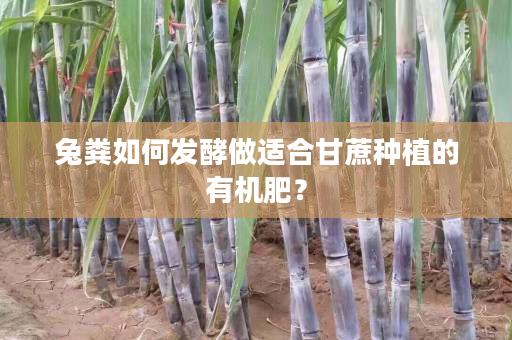 兔粪如何发酵做适合甘蔗种植的有机肥? 兔粪如何发酵做适合甘蔗种植的有机肥?