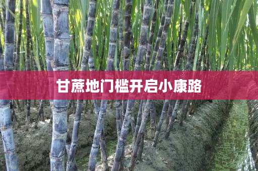 甘蔗地门槛开启小康路 甘蔗地门槛开启小康路