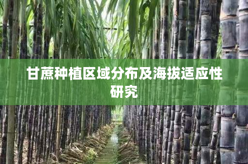甘蔗种植区域分布及海拔适应性研究 甘蔗种植区域分布及海拔适应性研究