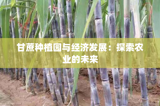 甘蔗种植园与经济发展:探索农业的未来 甘蔗种植园与经济发展:探索农业的未来