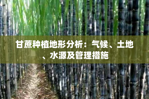 甘蔗种植地形分析:气候、土地、水源及管理措施 甘蔗种植地形分析:气候、土地、水源及管理措施