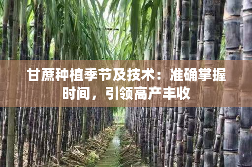 甘蔗种植季节及技术:准确掌握时间,引领高产丰收 甘蔗种植季节及技术:准确掌握时间,引领高产丰收