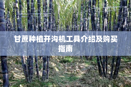 甘蔗种植开沟机工具介绍及购买指南 甘蔗种植开沟机工具介绍及购买指南