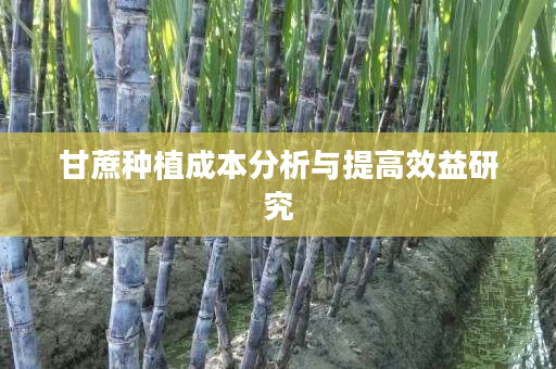 甘蔗种植成本分析与提高效益研究 甘蔗种植成本分析与提高效益研究