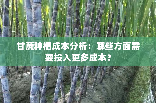 甘蔗种植成本分析：哪些方面需要投入更多成本？