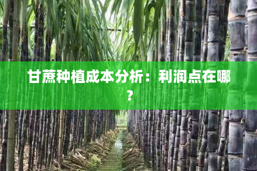 甘蔗种植成本分析：利润点在哪？