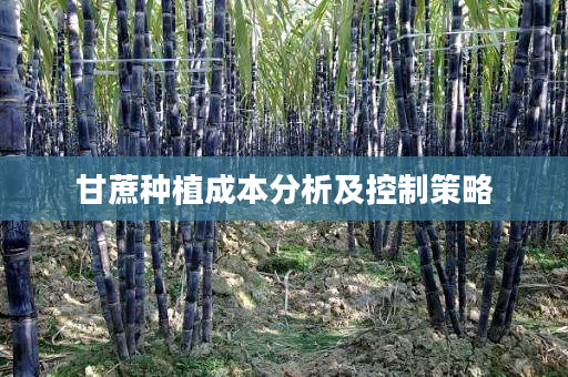 甘蔗种植成本分析及控制策略 甘蔗种植成本分析及控制策略