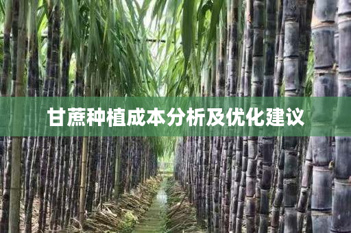 甘蔗种植成本分析及优化建议 甘蔗种植成本分析及优化建议