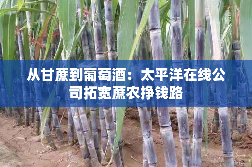 从甘蔗到葡萄酒:太平洋在线公司拓宽蔗农挣钱路 从甘蔗到葡萄酒:太平洋在线公司拓宽蔗农挣钱路