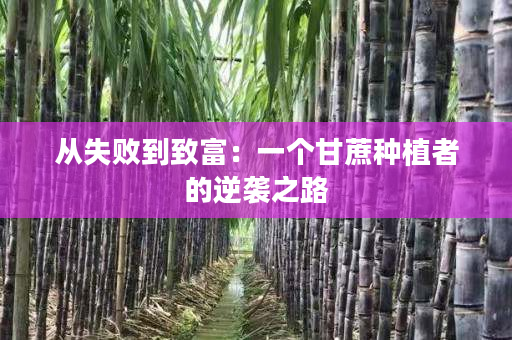 从失败到致富:一个甘蔗种植者的逆袭之路 从失败到致富:一个甘蔗种植者的逆袭之路