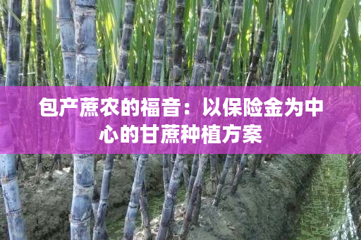 包产蔗农的福音:以保险金为中心的甘蔗种植方案 包产蔗农的福音:以保险金为中心的甘蔗种植方案