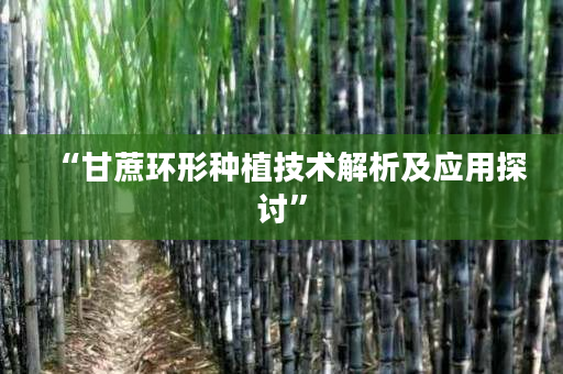 “甘蔗环形种植技术解析及应用探讨” “甘蔗环形种植技术解析及应用探讨”