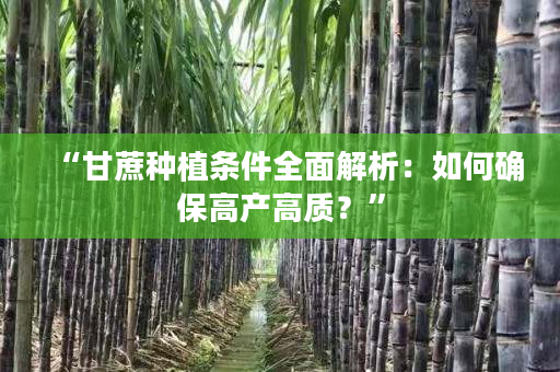 “甘蔗种植条件全面解析：如何确保高产高质？”