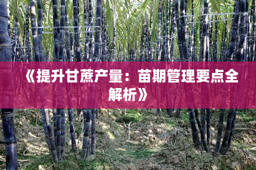 《提升甘蔗产量:苗期管理要点全解析》 《提升甘蔗产量:苗期管理要点全解析》