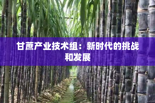 甘蔗产业技术组:新时代的挑战和发展 甘蔗产业技术组:新时代的挑战和发展