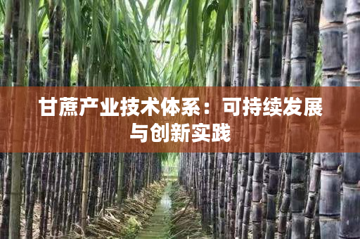 甘蔗产业技术体系:可持续发展与创新实践 甘蔗产业技术体系:可持续发展与创新实践
