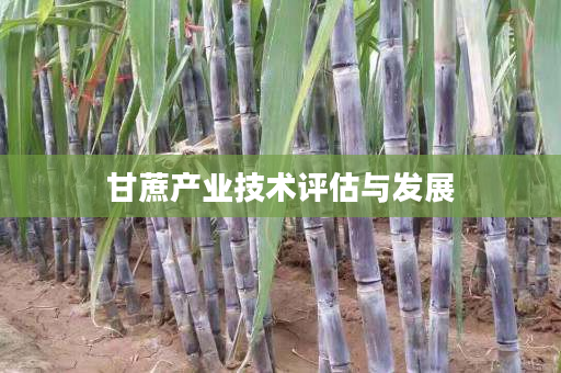 甘蔗产业技术评估与发展 甘蔗产业技术评估与发展