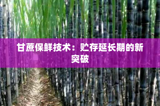 甘蔗保鲜技术:贮存延长期的新突破 甘蔗保鲜技术:贮存延长期的新突破