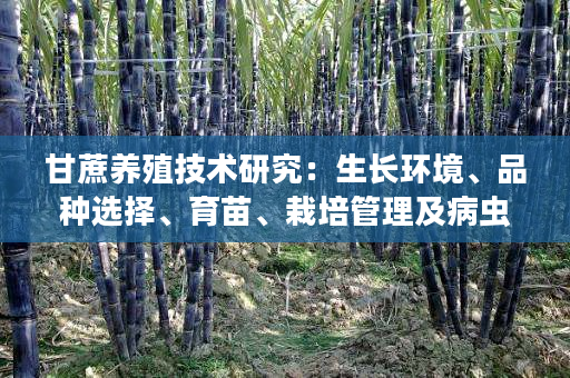 甘蔗养殖技术研究:生长环境、品种选择、育苗、栽培管理及病虫害防治 甘蔗养殖技术研究:生长环境、品种选择、育苗、栽培管理及病虫害防治