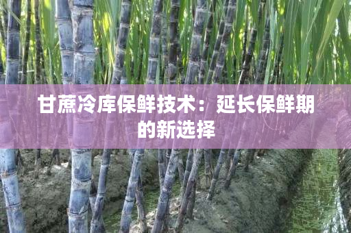 甘蔗冷库保鲜技术:延长保鲜期的新选择 甘蔗冷库保鲜技术:延长保鲜期的新选择