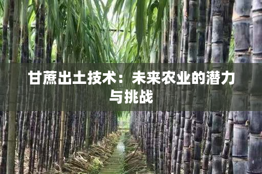甘蔗出土技术:未来农业的潜力与挑战 甘蔗出土技术:未来农业的潜力与挑战