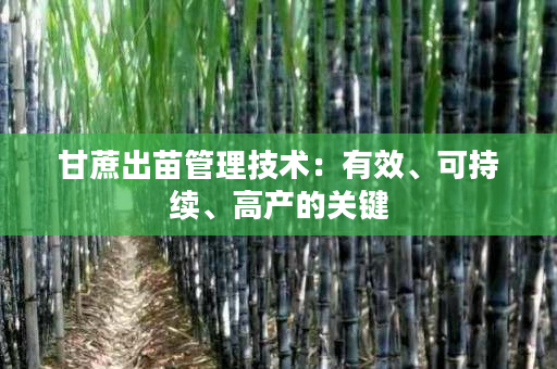 甘蔗出苗管理技术:有效、可持续、高产的关键 甘蔗出苗管理技术:有效、可持续、高产的关键