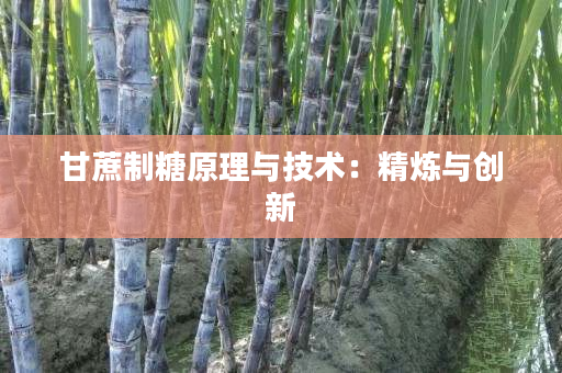 甘蔗制糖原理与技术:精炼与创新 甘蔗制糖原理与技术:精炼与创新