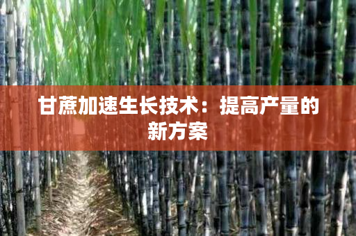 甘蔗加速生长技术:提高产量的新方案 甘蔗加速生长技术:提高产量的新方案