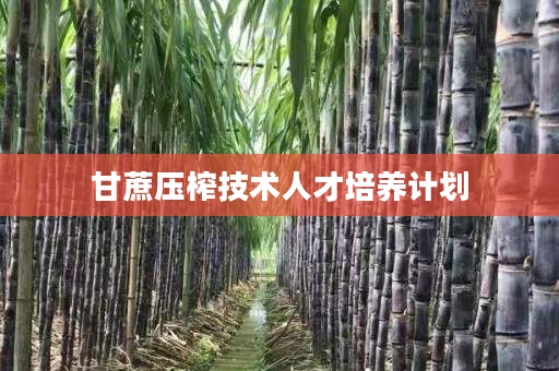 甘蔗压榨技术人才培养计划 甘蔗压榨技术人才培养计划