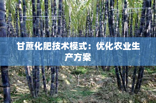 甘蔗化肥技术模式:优化农业生产方案 甘蔗化肥技术模式:优化农业生产方案