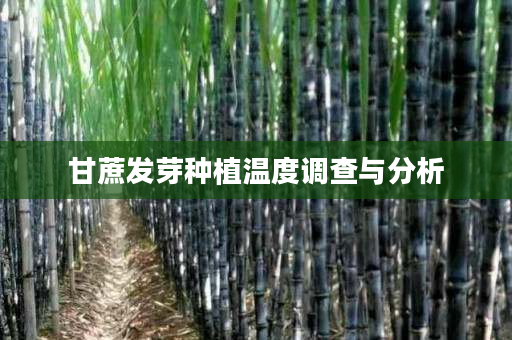 甘蔗发芽种植温度调查与分析