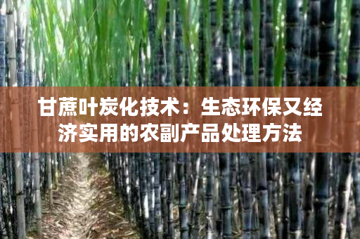 甘蔗叶炭化技术:生态环保又经济实用的农副产品处理方法 甘蔗叶炭化技术:生态环保又经济实用的农副产品处理方法