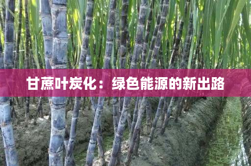 甘蔗叶炭化:绿色能源的新出路 甘蔗叶炭化:绿色能源的新出路