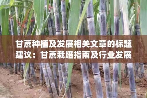 甘蔗种植及发展相关文章的标题建议:甘蔗栽培指南及行业发展趋势 甘蔗种植及发展相关文章的标题建议:甘蔗栽培指南及行业发展趋势