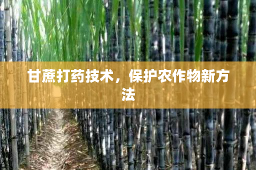 甘蔗打药技术,保护农作物新方法 甘蔗打药技术,保护农作物新方法