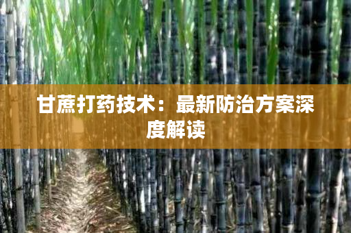 甘蔗打药技术:最新防治方案深度解读 甘蔗打药技术:最新防治方案深度解读