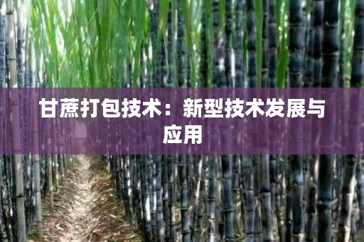 甘蔗打包技术:新型技术发展与应用 甘蔗打包技术:新型技术发展与应用