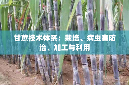 甘蔗技术体系:栽培、病虫害防治、加工与利用 甘蔗技术体系:栽培、病虫害防治、加工与利用