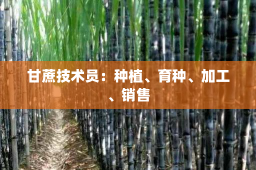 甘蔗技术员:种植、育种、加工、销售 甘蔗技术员:种植、育种、加工、销售