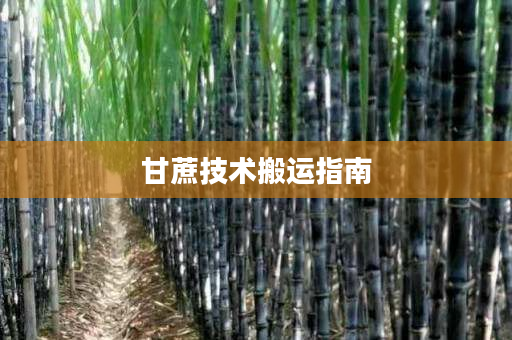 甘蔗技术搬运指南 甘蔗技术搬运指南
