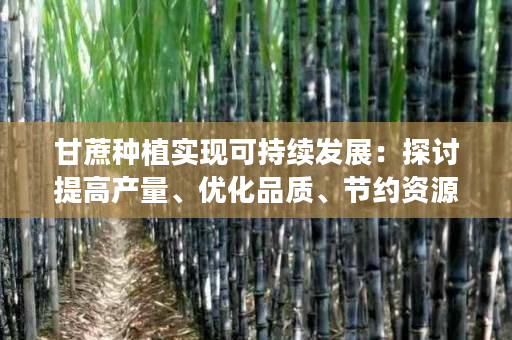 甘蔗种植实现可持续发展:探讨提高产量、优化品质、节约资源的方法 甘蔗种植实现可持续发展:探讨提高产量、优化品质、节约资源的方法