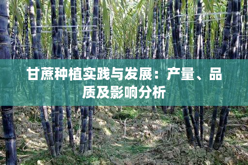 甘蔗种植实践与发展:产量、品质及影响分析 甘蔗种植实践与发展:产量、品质及影响分析