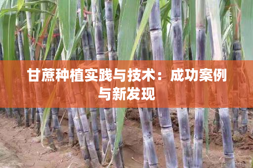 甘蔗种植实践与技术：成功案例与新发现