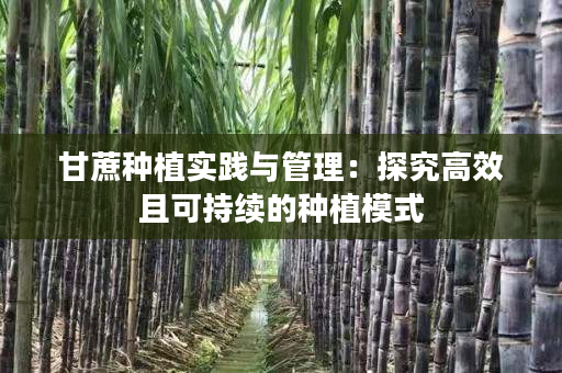 甘蔗种植实践与管理:探究高效且可持续的种植模式 甘蔗种植实践与管理:探究高效且可持续的种植模式