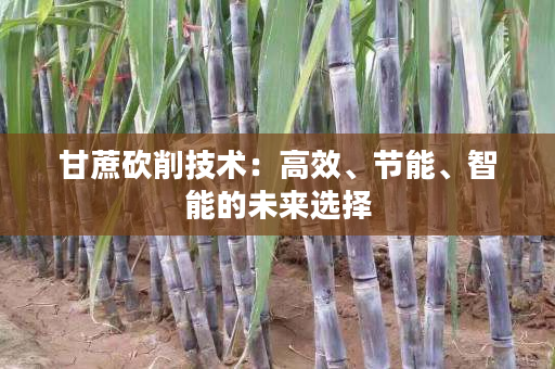 甘蔗砍削技术:高效、节能、智能的未来选择 甘蔗砍削技术:高效、节能、智能的未来选择